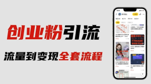 價值980的2023最新暴力引流創業粉絲玩法，單日被動引流50+創業粉百度網盤插圖