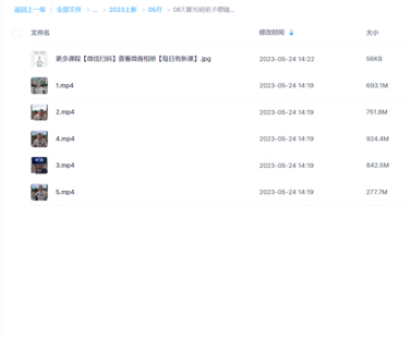 夏光明弟子德鏡老師《八字斷職業私傳密授》視頻5集