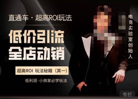 電商冰可樂(lè)?直通車(chē)?《低價(jià)引流?全店動(dòng)銷(xiāo)》，直通車(chē)?超高ROI玩法百度網(wǎng)盤(pán)