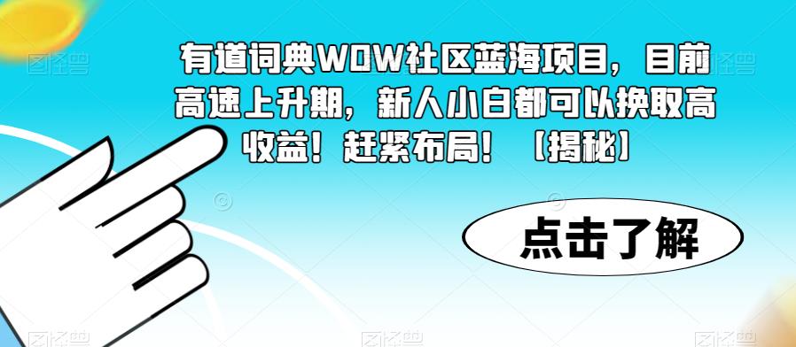 有道詞典WOW社區(qū)藍海項目，目前高速上升期，新人小白高收益百度網(wǎng)盤