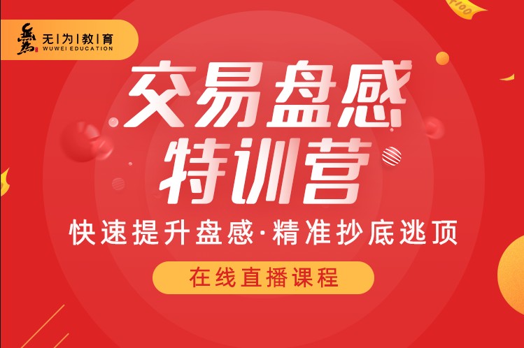 無為老師259期盤感特訓營課程百度網(wǎng)盤