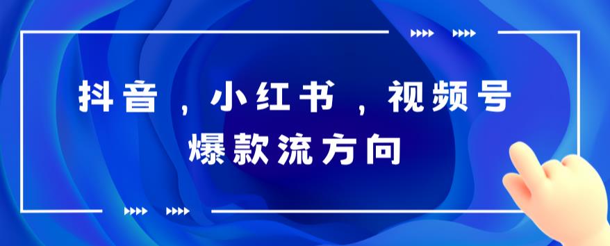 抖音、小紅書、視頻號爆款流視頻制作，簡單制作掌握流量密碼百度網盤