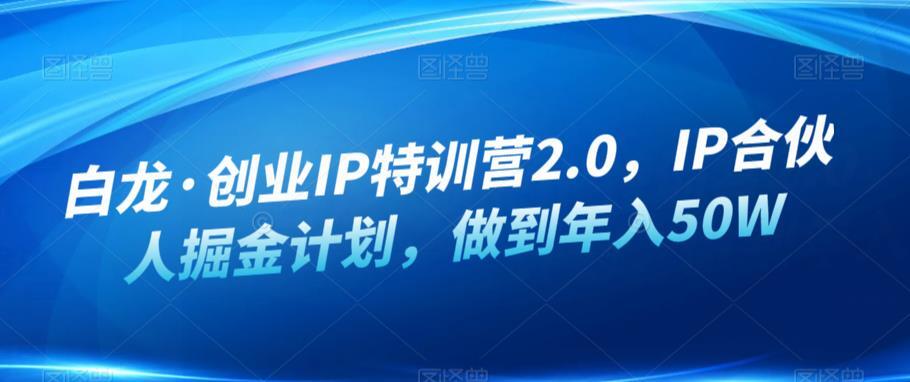 白龍·創業IP特訓營2.0 ，IP合伙人掘金計劃年入50W百度網盤