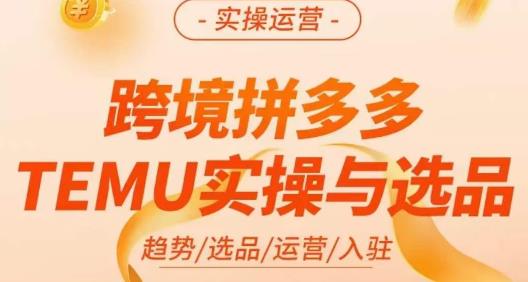 伍躍?跨境拼多多TEMU實操與選品，趨勢/選品/運營/入駐百度網(wǎng)盤