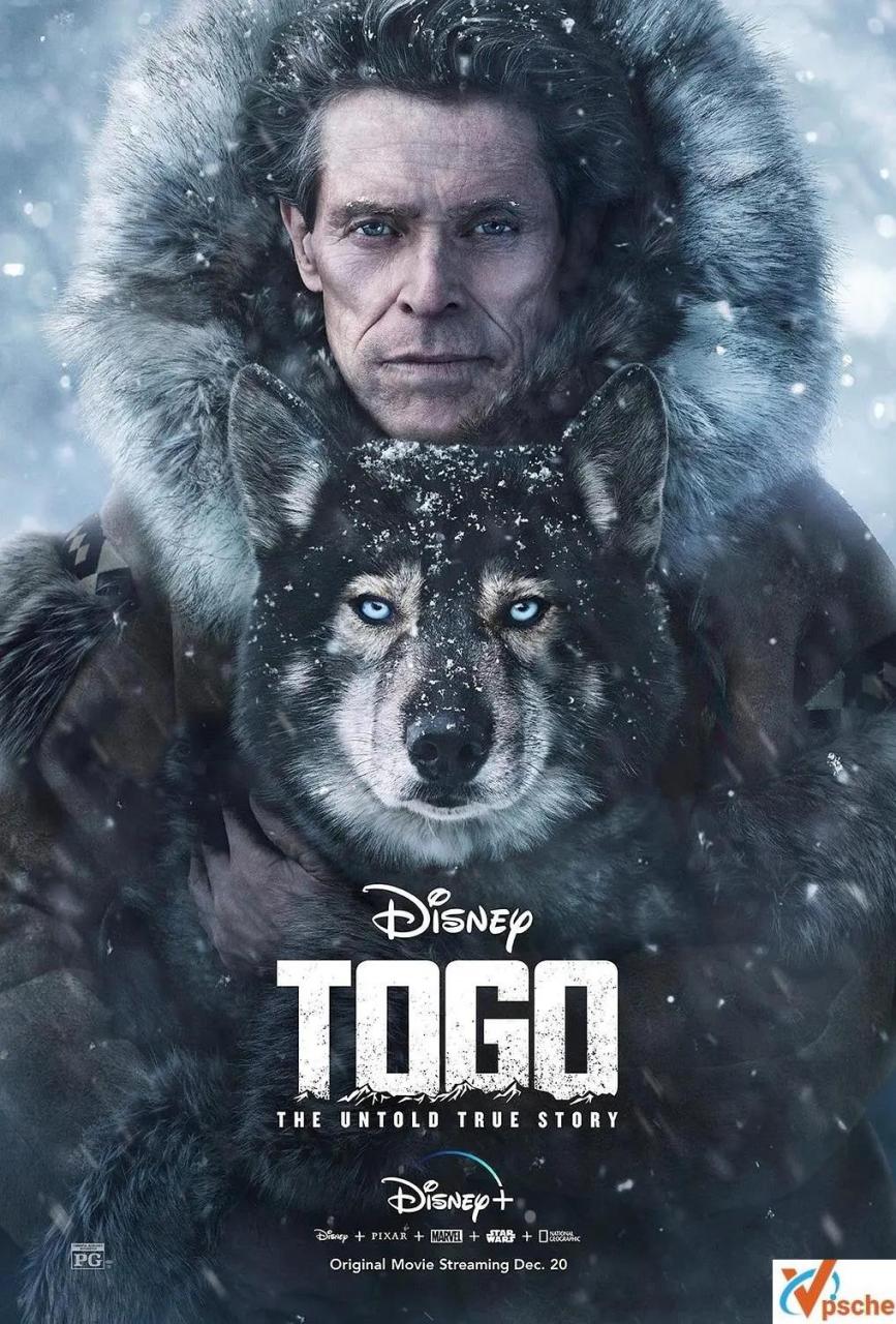 [亞洲電影]電影《多哥》(Togo (2019))高清英語中字[MP4/3.28GB]百度云網盤在線分享