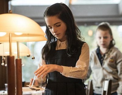 美國電影《壞種》2部高清英語中文字幕