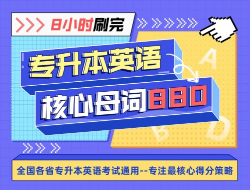 王無術8小時刷完專升本核心母詞百度網盤