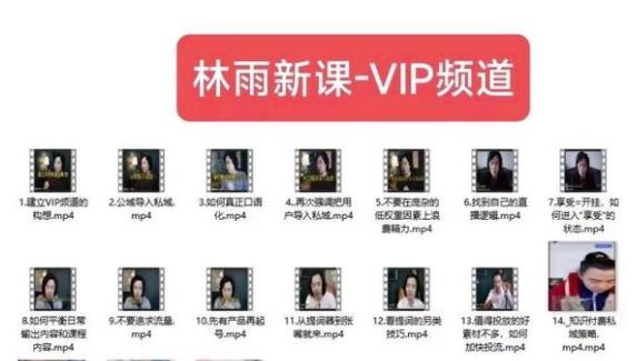 林雨新課VIP頻道玩賺私域/朋友圈/社群百度網(wǎng)盤