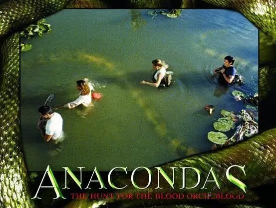 [歐美電影][1997-2009]《狂蟒之災(zāi)》系列四部合集[高清英語中字][百度云網(wǎng)盤+阿里云網(wǎng)盤分享][MKV/MP4/14.03GB]