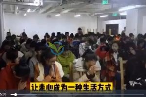 走心家族百度網(wǎng)盤