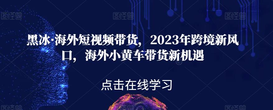 黑冰?海外短視頻帶貨，2023年跨境海外小黃車帶百度網盤