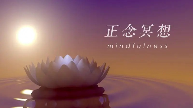 每日正念-童慧琦百度網盤