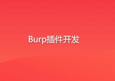 Burp插件開發百度網盤