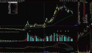 【淘股吧】《主升龍頭真經玩轉主升浪系列123 PDF文章+視頻》百度網盤插圖 【淘股吧】《主升龍頭真經玩轉主升浪系列123 PDF文章+視頻》百度網盤插圖