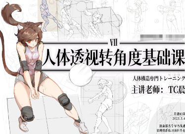 TC晨透視轉角度基礎課第7期2023年百度網盤