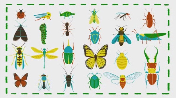 Awesome Nature:了不起的自然科普系列動畫百度網盤