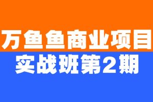 萬魚魚商業項目實戰班第2期百度網盤