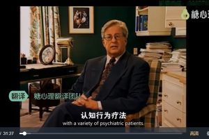 心理障礙的評估與治療：8位宗師×8種流派視角百度網盤