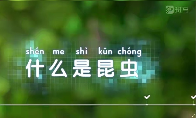 基于孩子思維模式科普《斑馬百科》科學(xué)探究世界百度網(wǎng)盤