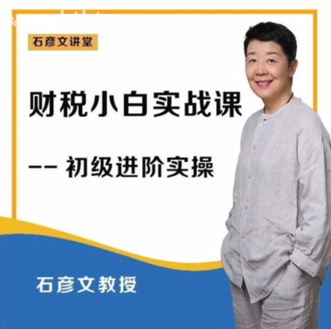 財稅小白實戰 財務會計實操課百度網盤