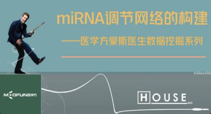 數據挖掘―miRNA調節網絡的構建百度網盤