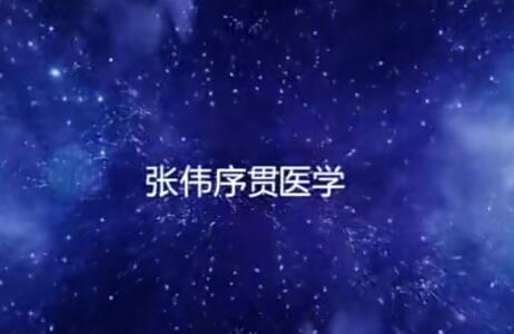 張偉序貫平衡量變針灸百度網盤