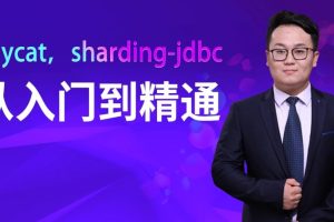 馬式兵-mycat，sharding-jdbc從入門到精通百度網盤