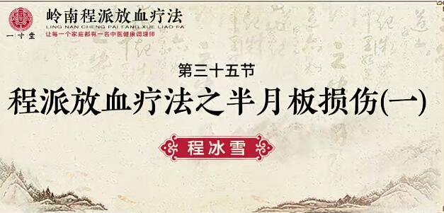程冰雪嶺南程派放血療法（專業課）百度網盤