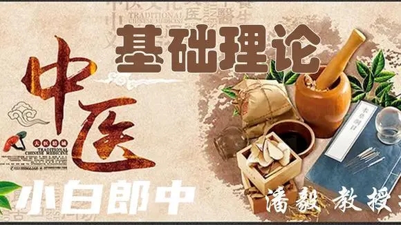 【潘毅】淍昜與中醫（視頻）百度網盤