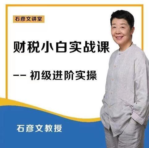 財稅小白實戰(zhàn)課 財務會計實操【石彥文講財稅】_石彥文講財稅百度網盤