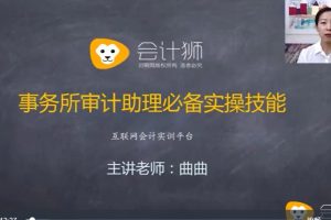 四大審計經理講審計助理實操視頻百度網盤