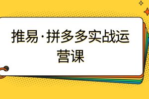 推易·8月底拼多多實(shí)戰(zhàn)運(yùn)營課百度網(wǎng)盤