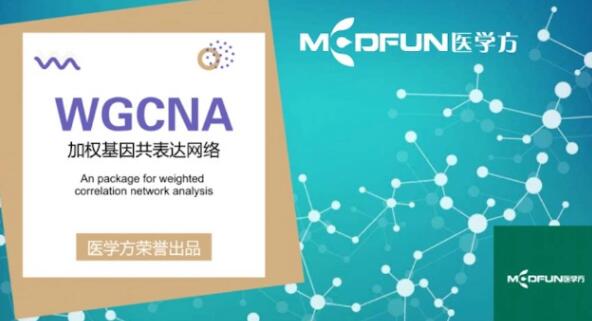 豪斯醫(yī)生數(shù)據(jù)挖掘之WGCNA詳解百度網(wǎng)盤