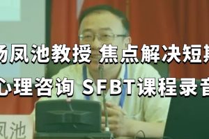 楊鳳池教授 焦點解決短期心理咨詢 SFBT課程錄音百度網(wǎng)盤