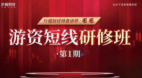 【毛毛老師】《游資短線研修班 毛毛老師線下課》