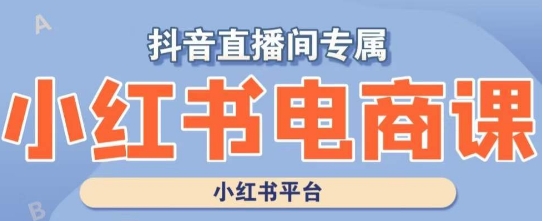 小紅書電商高級運營課程，實操教學+案例分析百度網(wǎng)盤