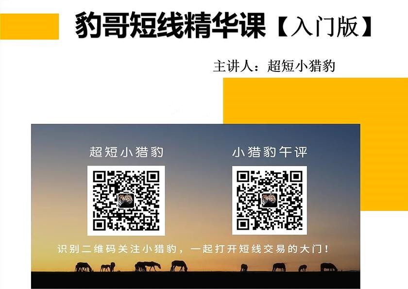 超短小獵豹-豹哥短線精華課入門(mén)版百度網(wǎng)盤(pán)