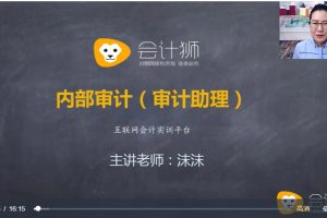 企業內審審計助理必修課（視頻）百度網盤