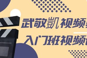 武敬凱視頻剪輯入門班百度網盤