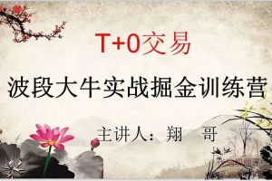翔哥T+0波段大牛實戰掘金訓練營