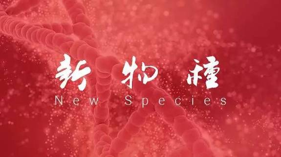 如何通過公眾號協作建立個人IP?插圖 如何通過公眾號協作建立個人IP?插圖
