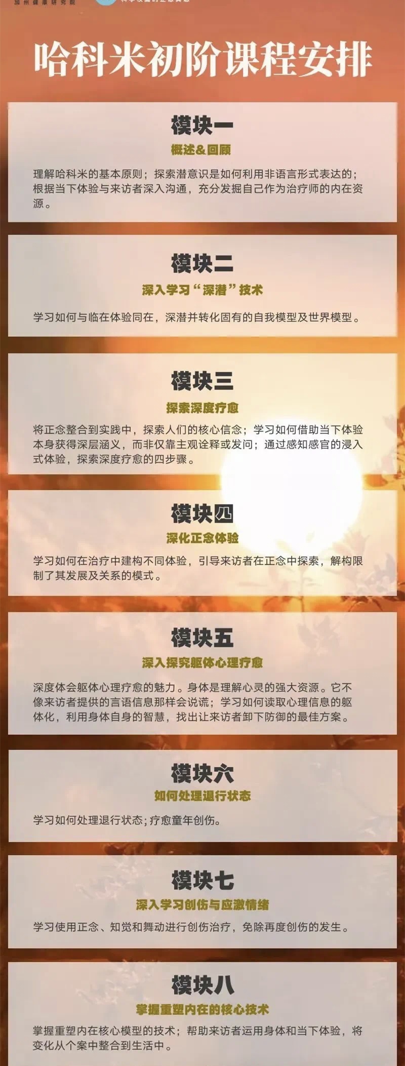 哈科米專業培訓（初階）八模塊【錄播課+直播課】