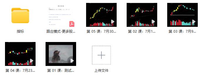 【莊姐】《跟莊一姐 莊姐-跟莊戰(zhàn)法視頻+文檔+指標 11文件》