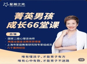 白大姐菁英男孩成長在線視頻課66堂