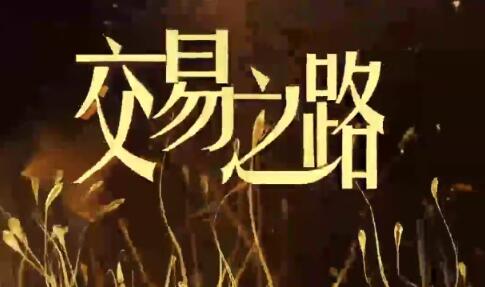 【陳凱】《陳凱諸葛就是不亮 交易之路初中高級視頻往期》