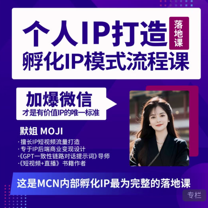 默姐·老板商業IP孵化流程課，完整個人IP短視頻