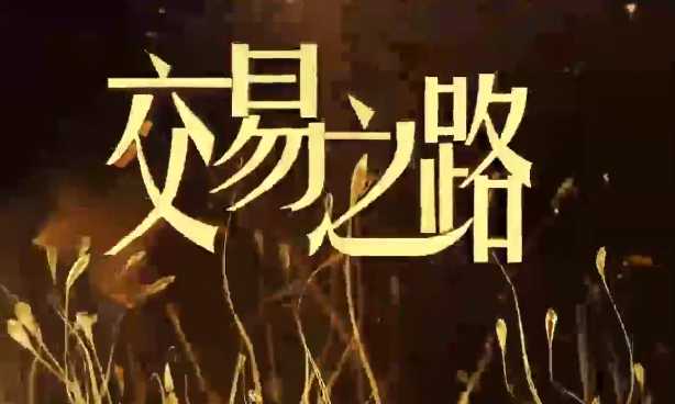 陳凱諸葛就是不亮 交易之路初中高級視頻往期