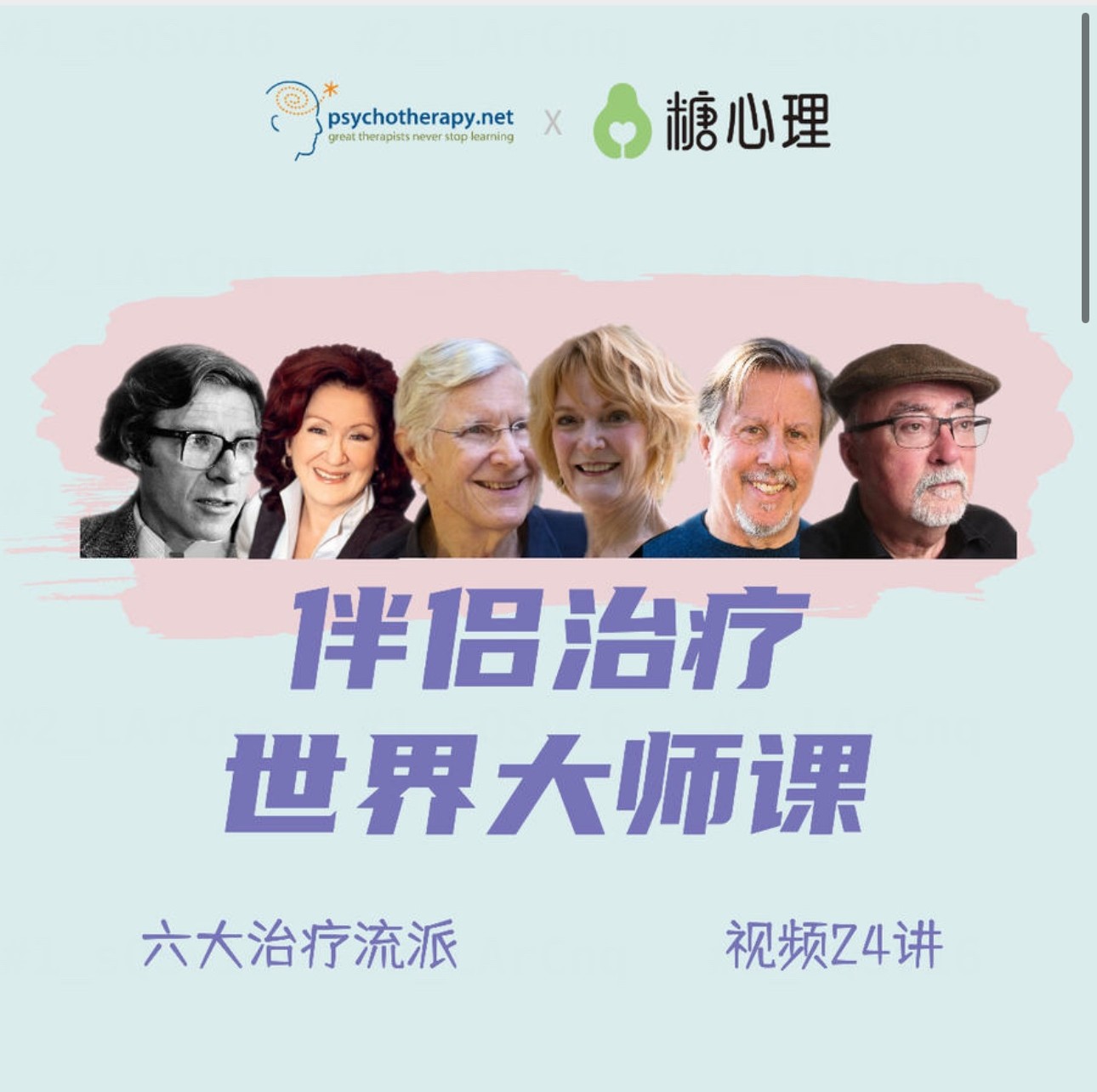 伴侶治療世界大師課，重建親密關(guān)系的六個思路，六大流派視頻24講