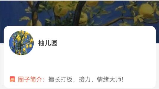 【大柚子筆記】《大柚子筆記大柚子系統(tǒng)課程》