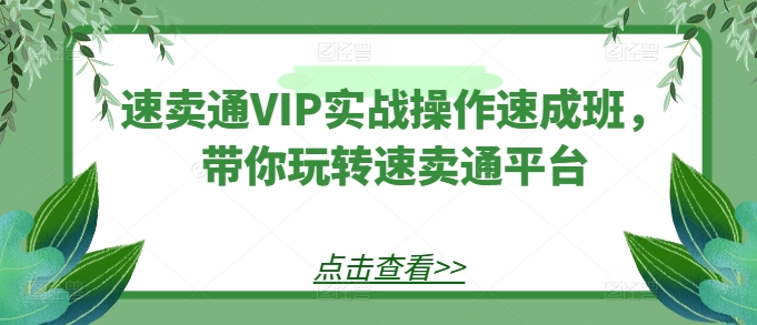 速賣通VIP實(shí)戰(zhàn)操作速成班，帶你玩轉(zhuǎn)速賣通平臺(tái)